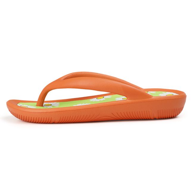 Slipper Shoes-22088