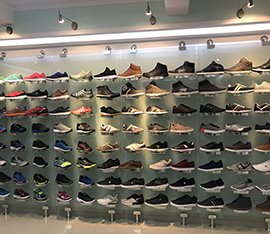 Sample Room